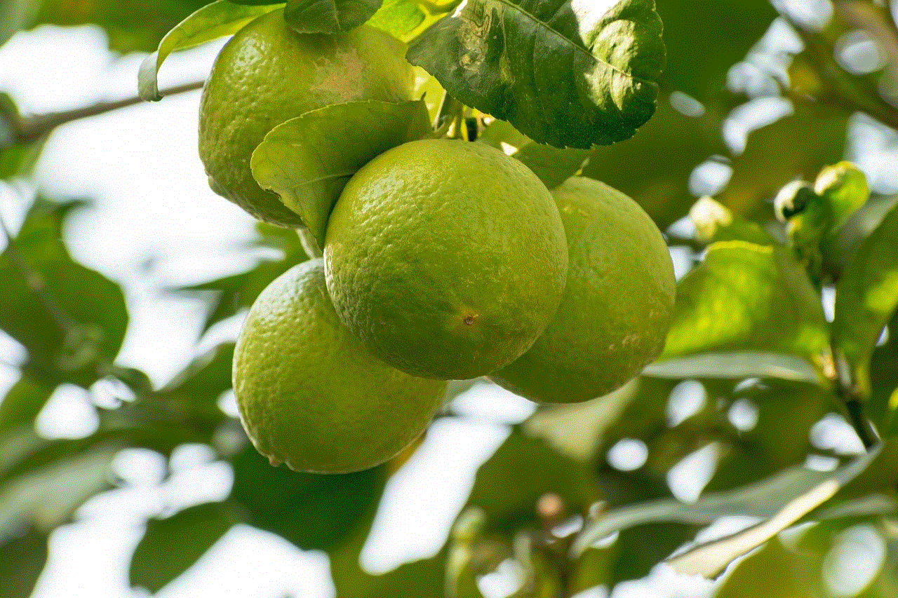 Fruits Citrus
