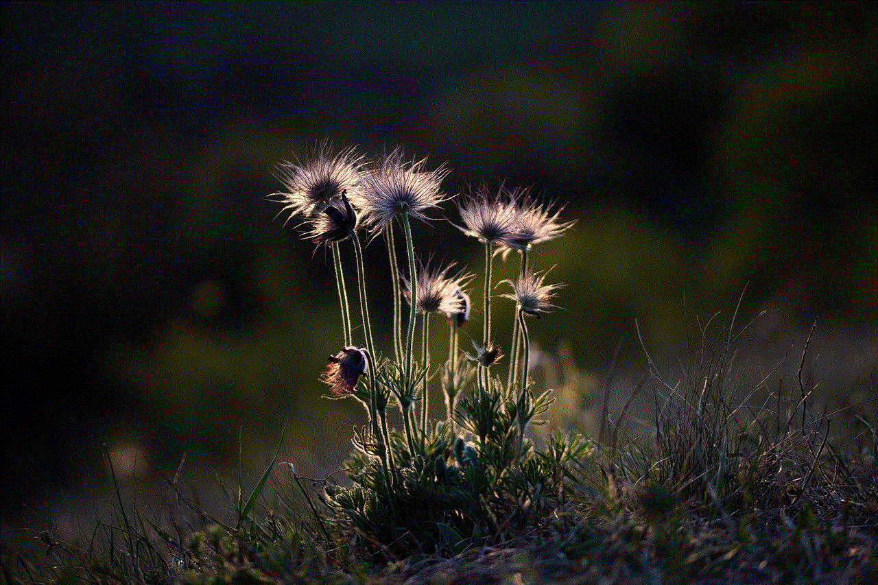 Flowers Cow Bells