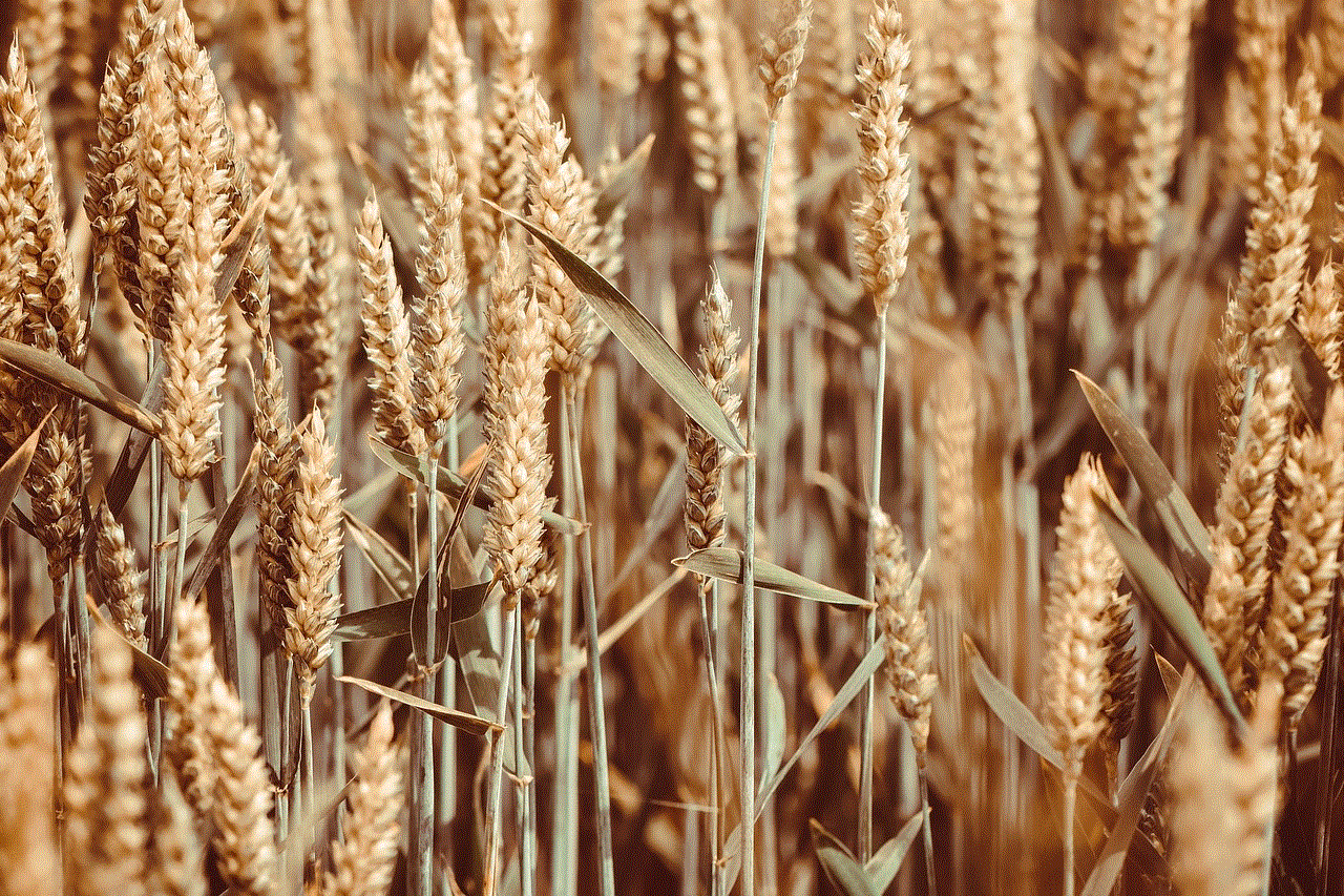 Grain Field