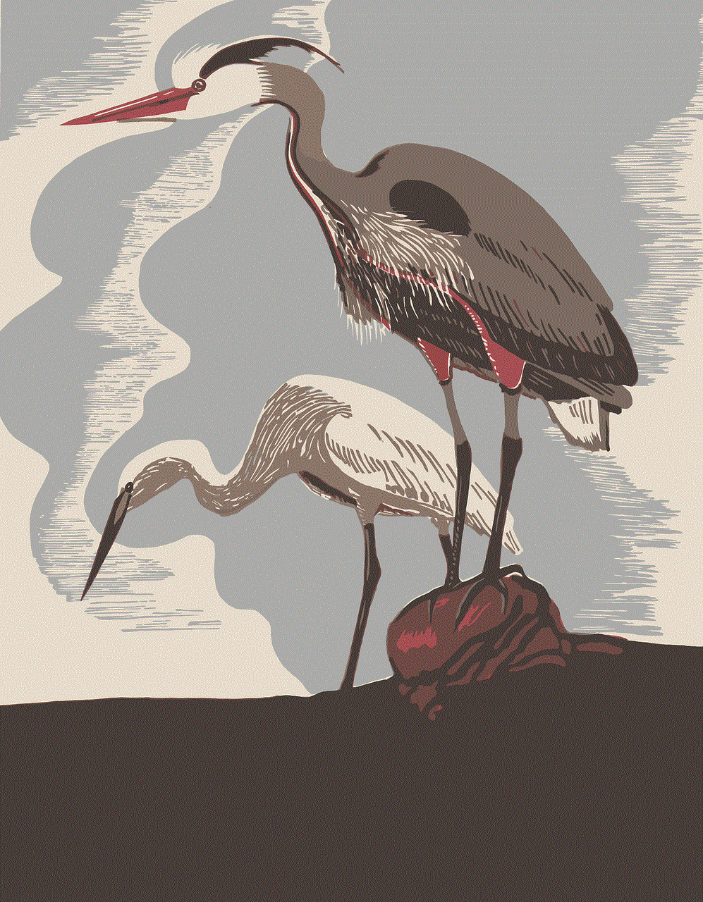 Herons Birds