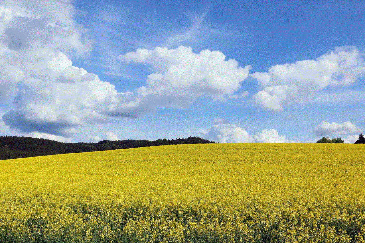 Oilseed Rape Field Of Rapeseeds