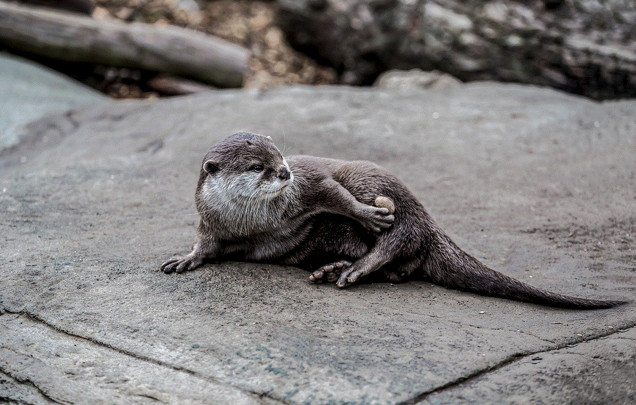 Otter Stone