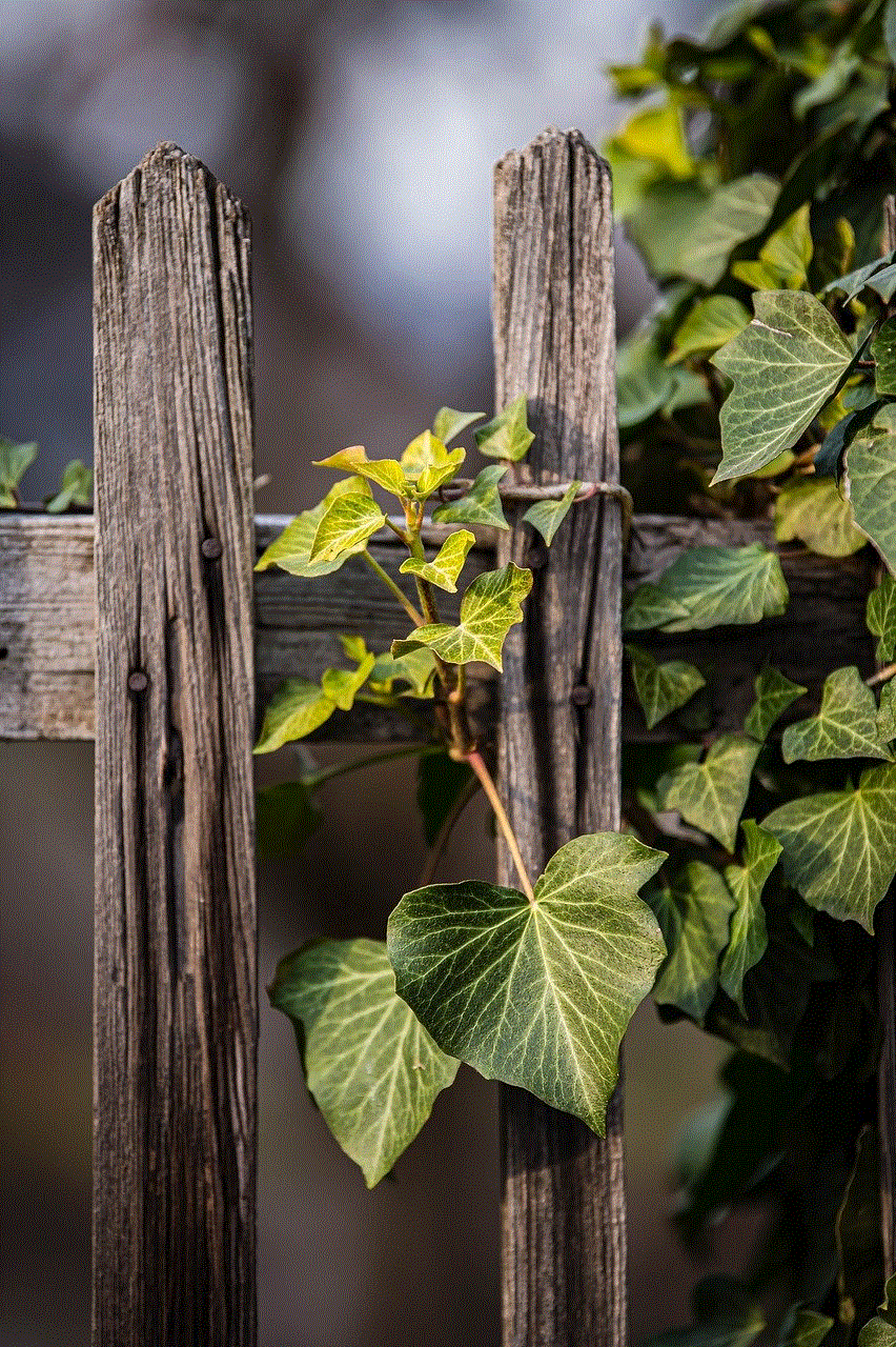 Vines Green Leaves