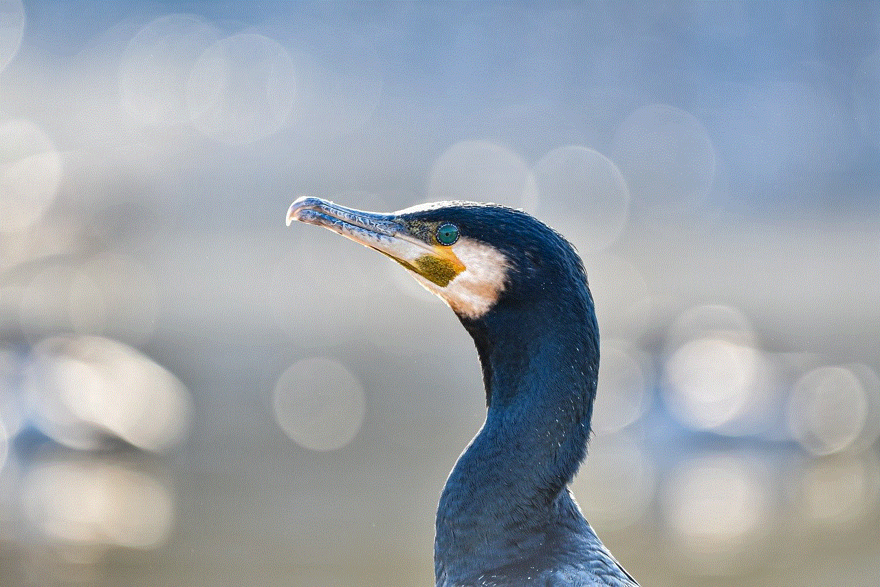 Cormorant Desktop Backgrounds