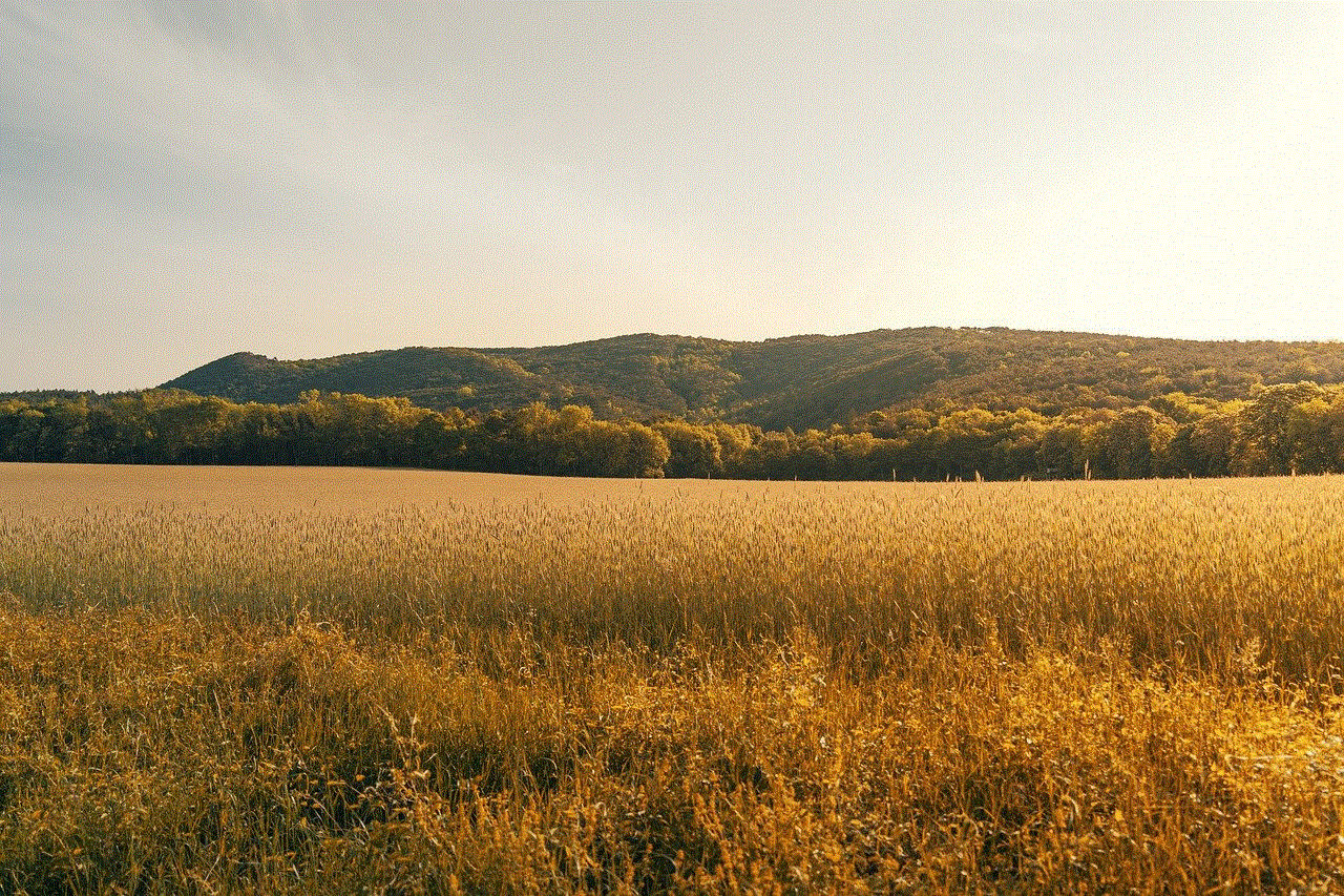 Agriculture Field