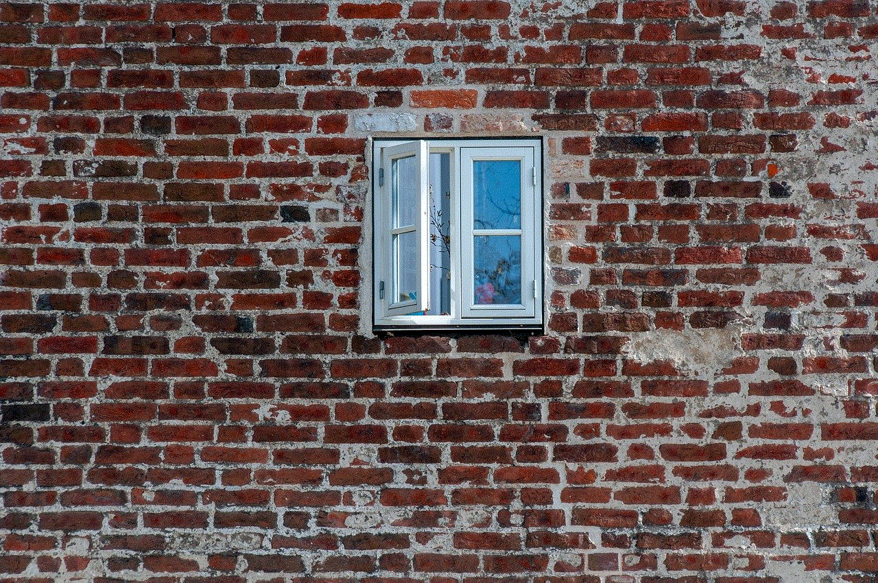 Window Wall