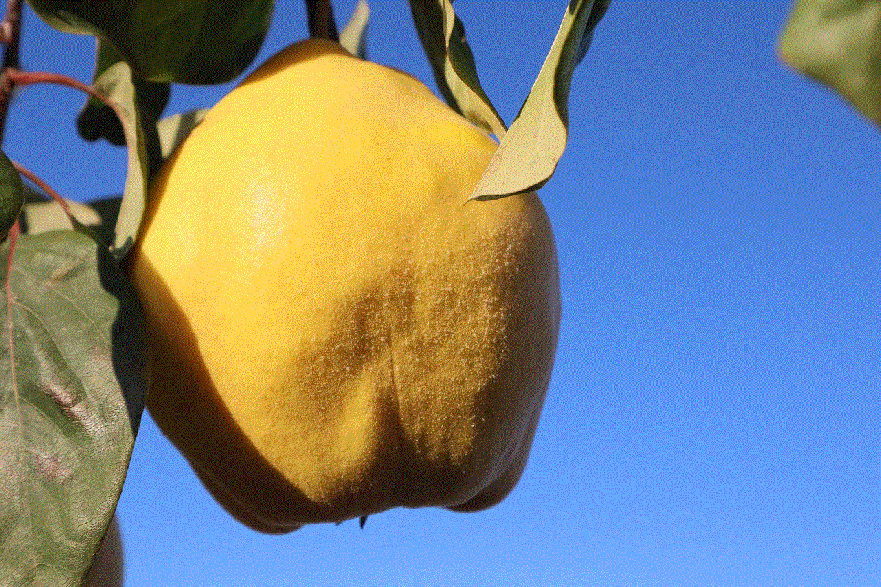 Quince Fruit