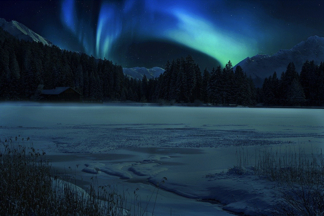 Northern Lights Aurora