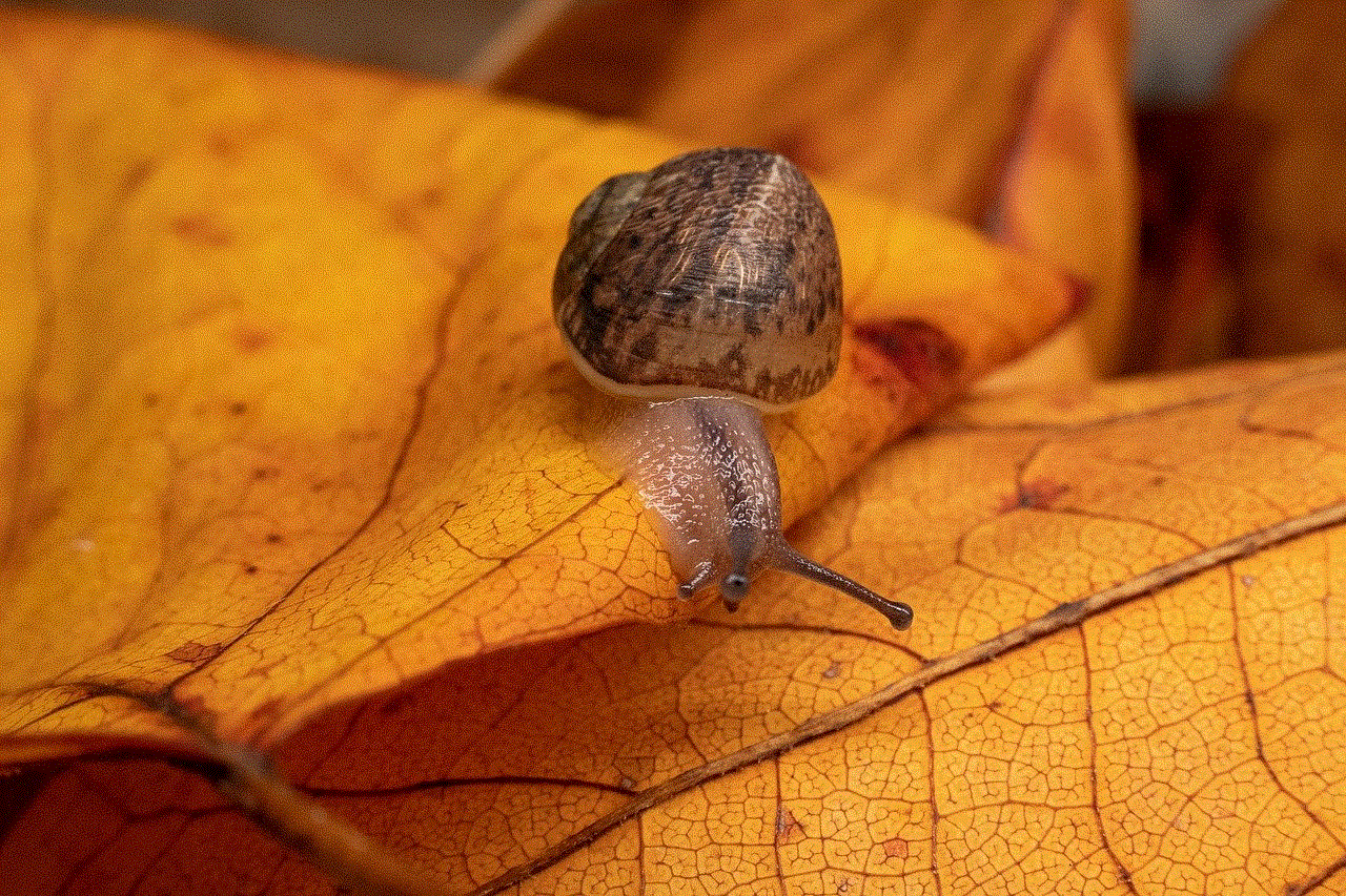 Snail Nature