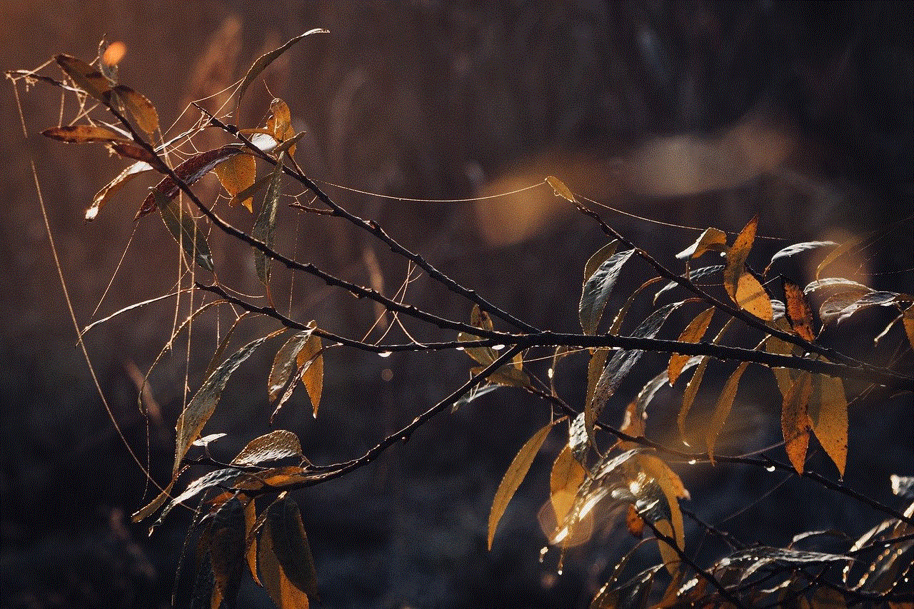 Leaves Dew Leaves Dew