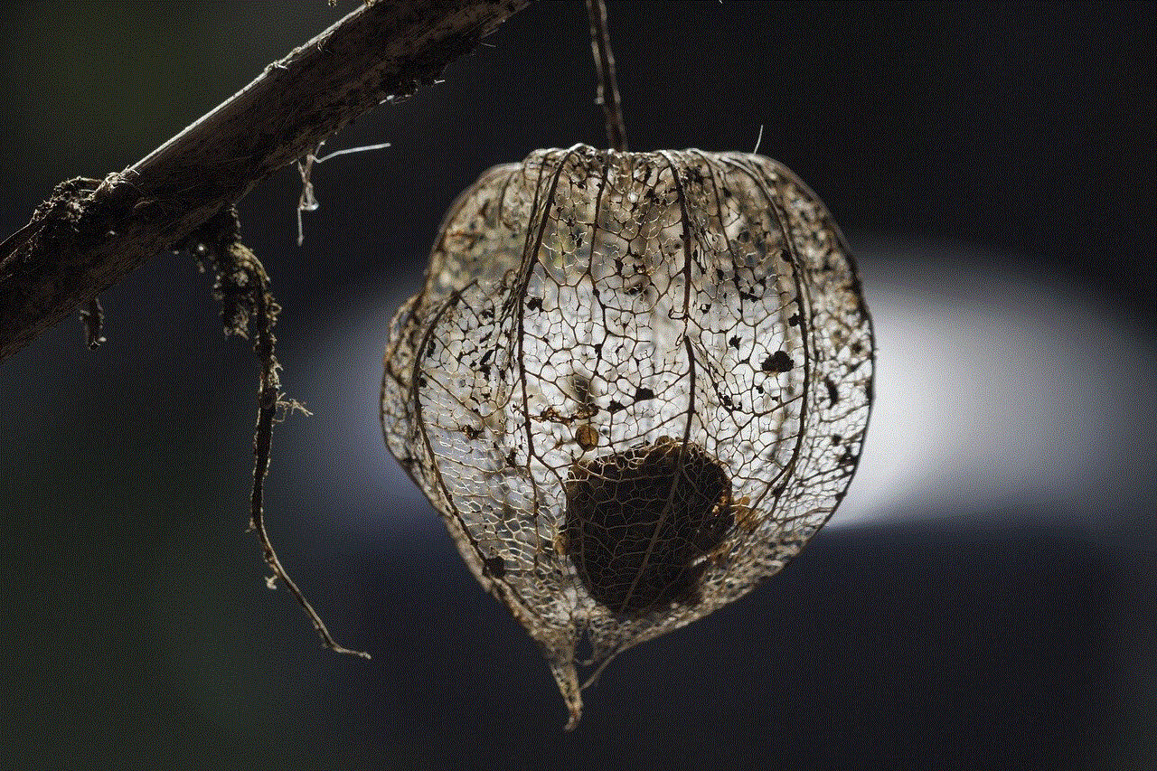 Fruit Physalis