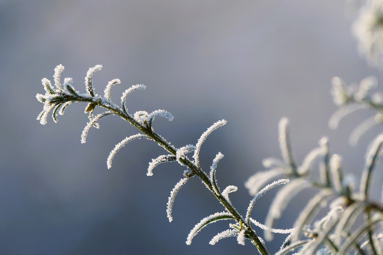 Flower Plant