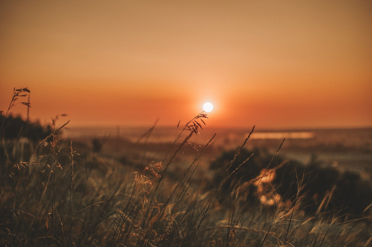 Grass Sunset