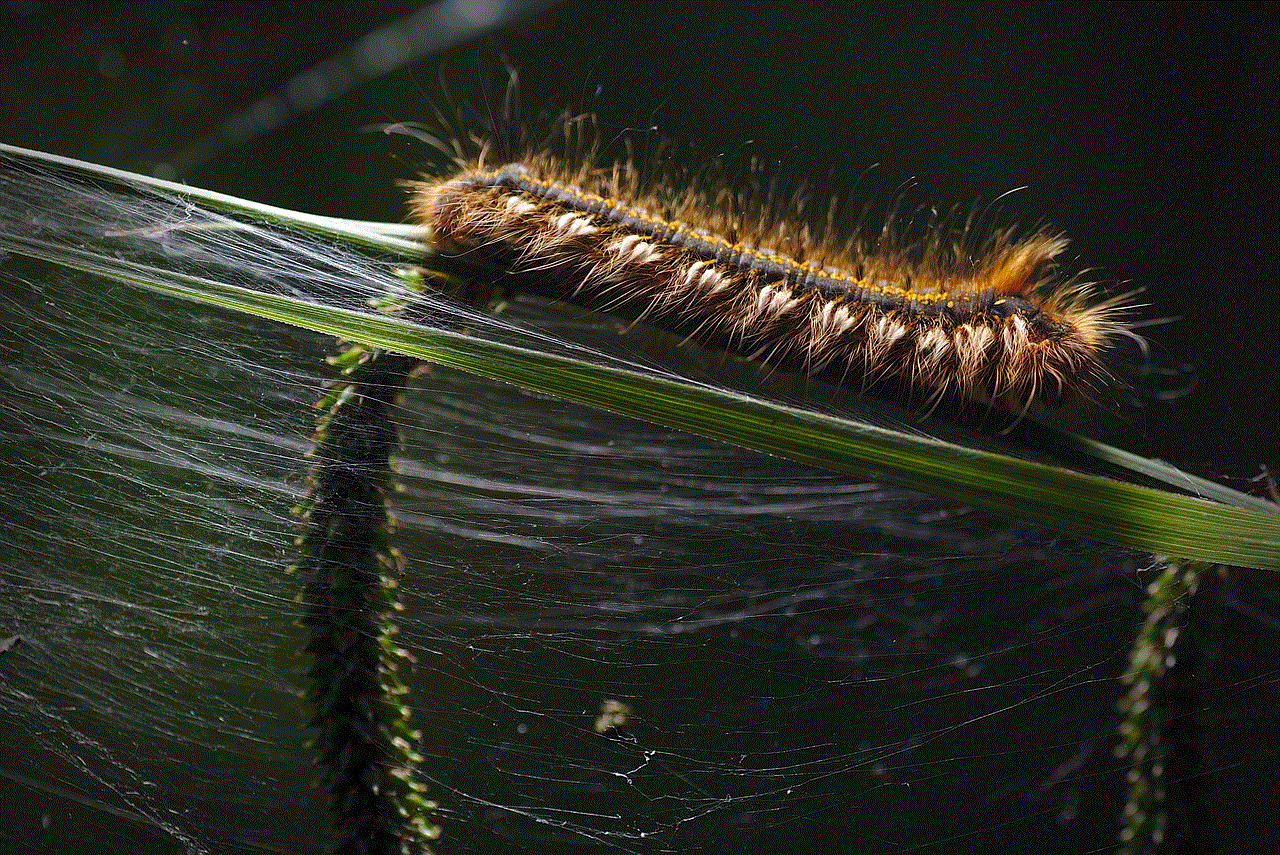 Caterpillar Larva