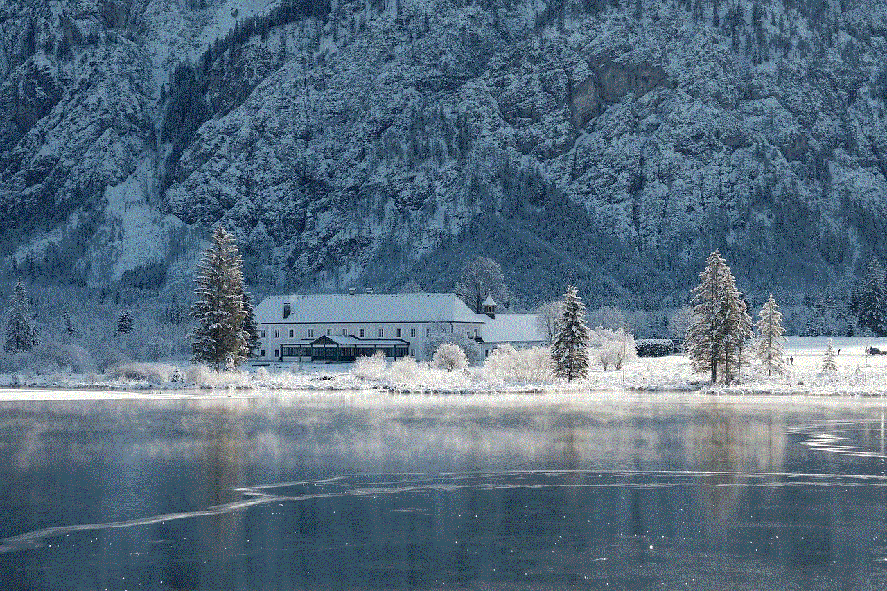 Frozen Lake Snow