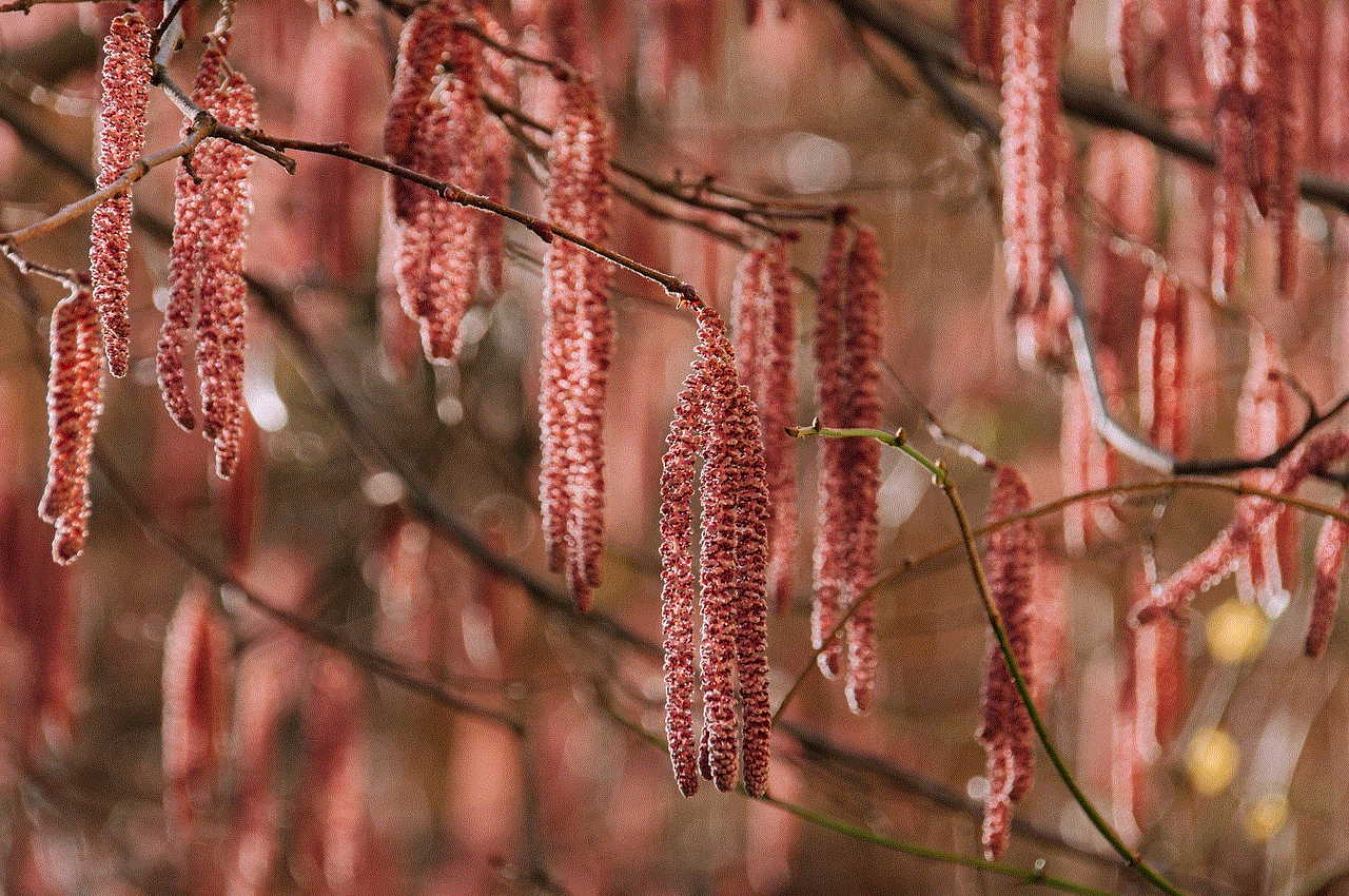 Tree Nature