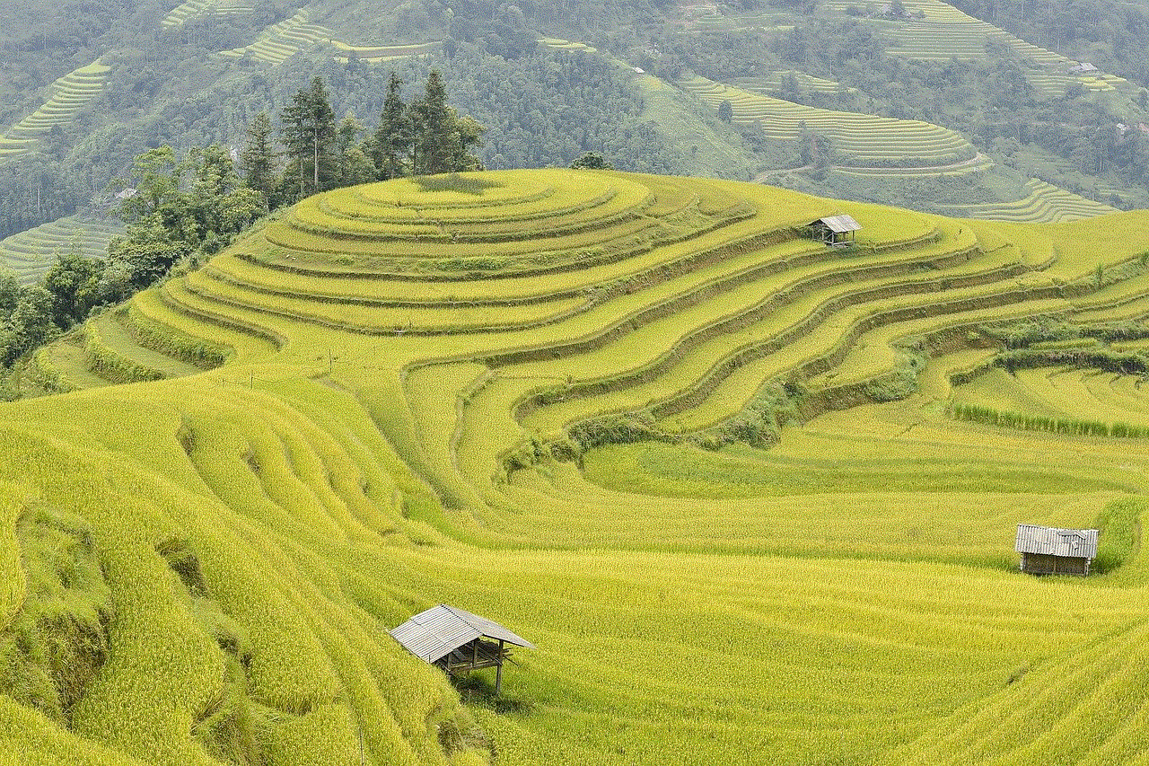 Mountain Vietnam