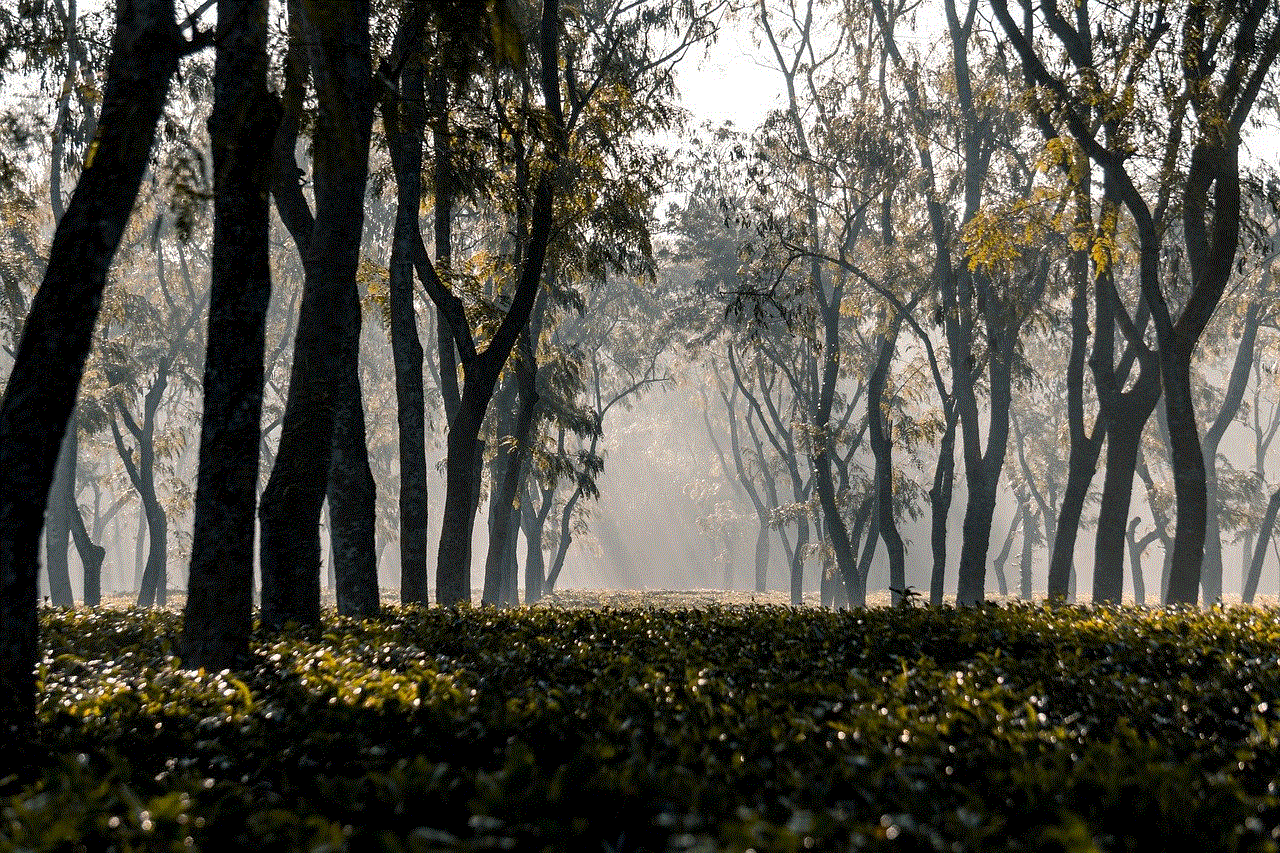 Trees Leaves