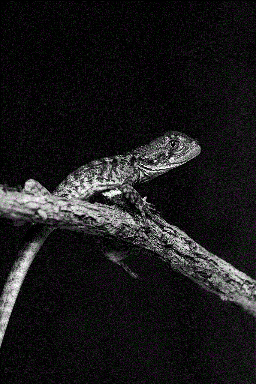 Lizard Eastern Water Dragon