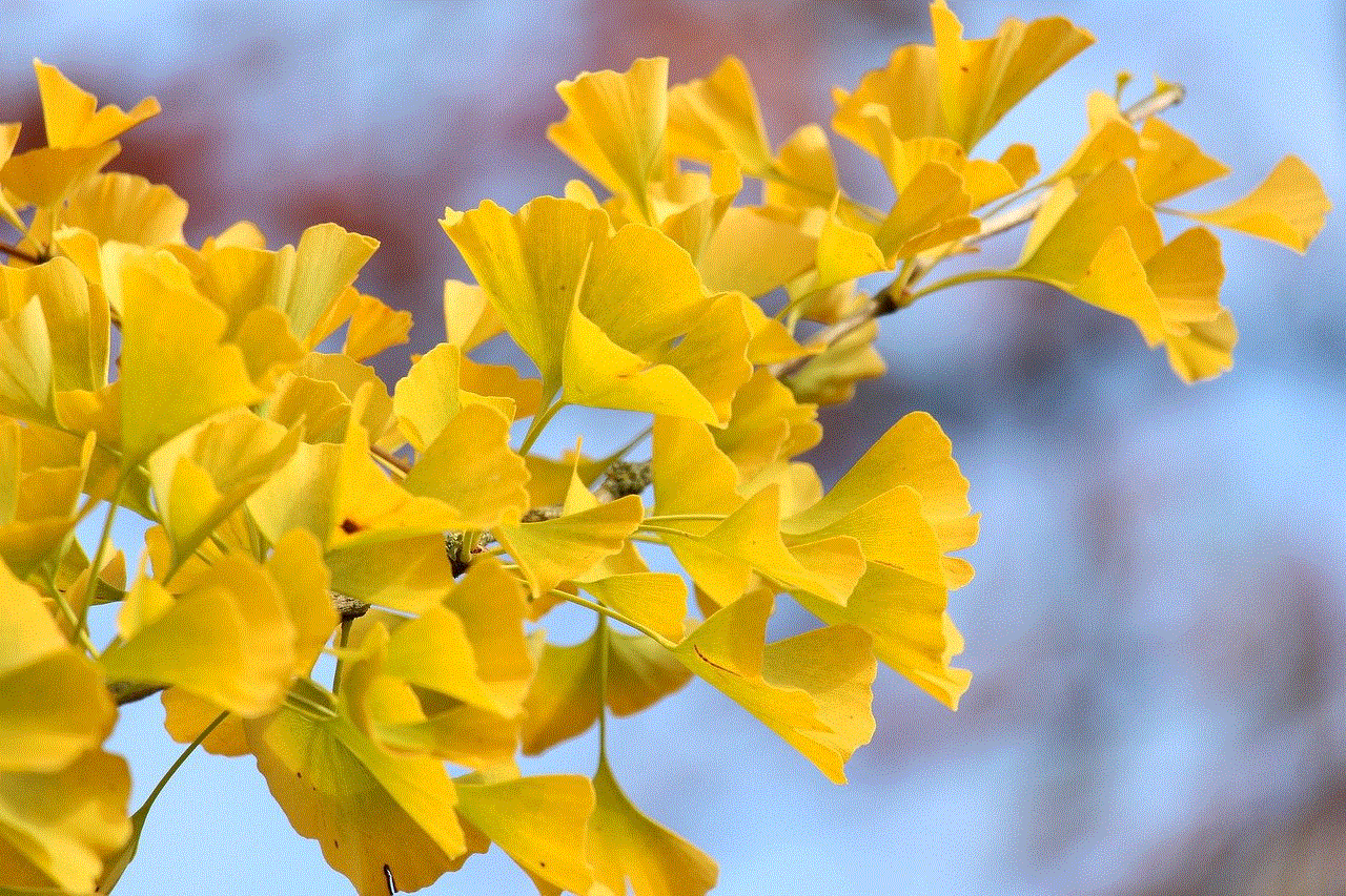 Fall Ginko