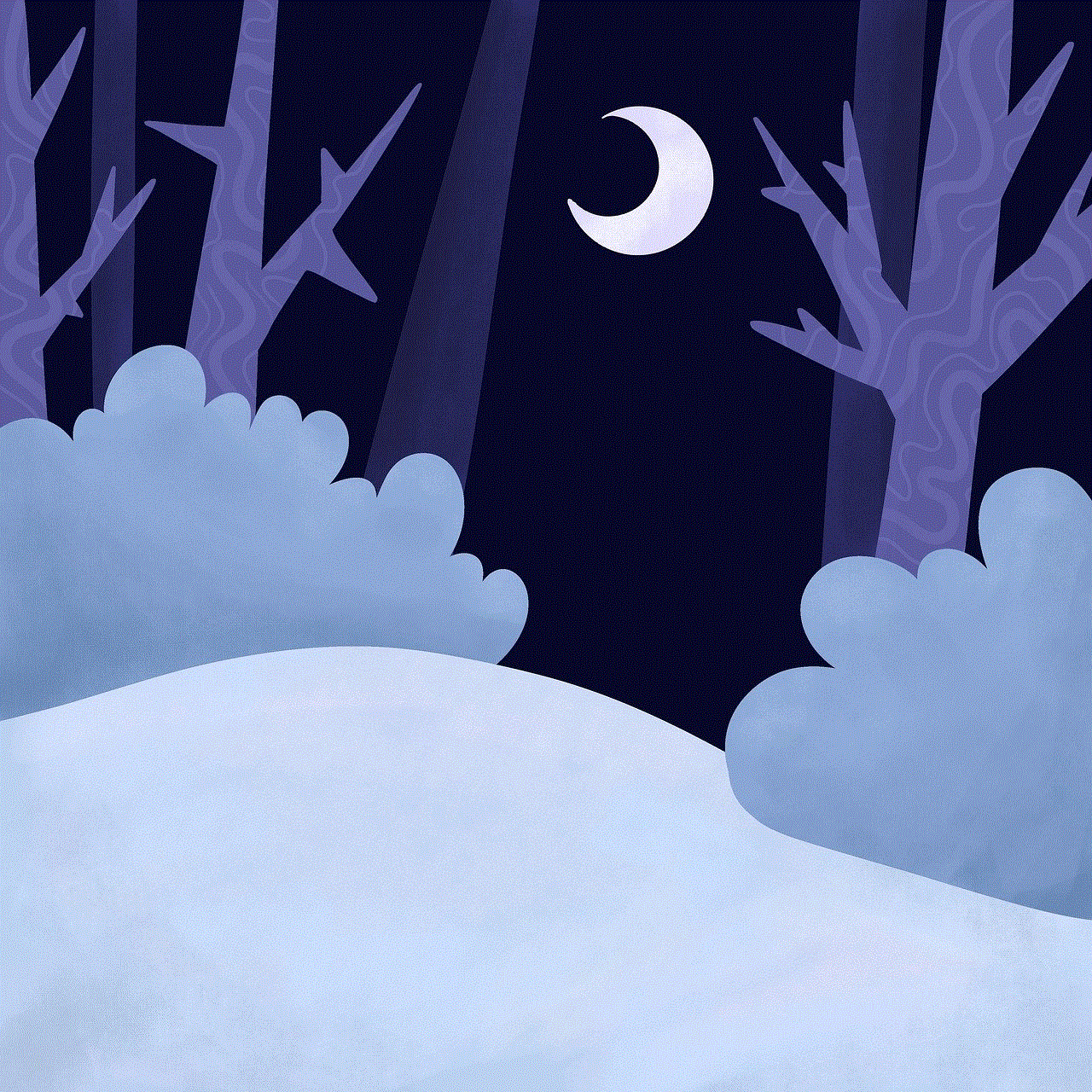 Winter Night