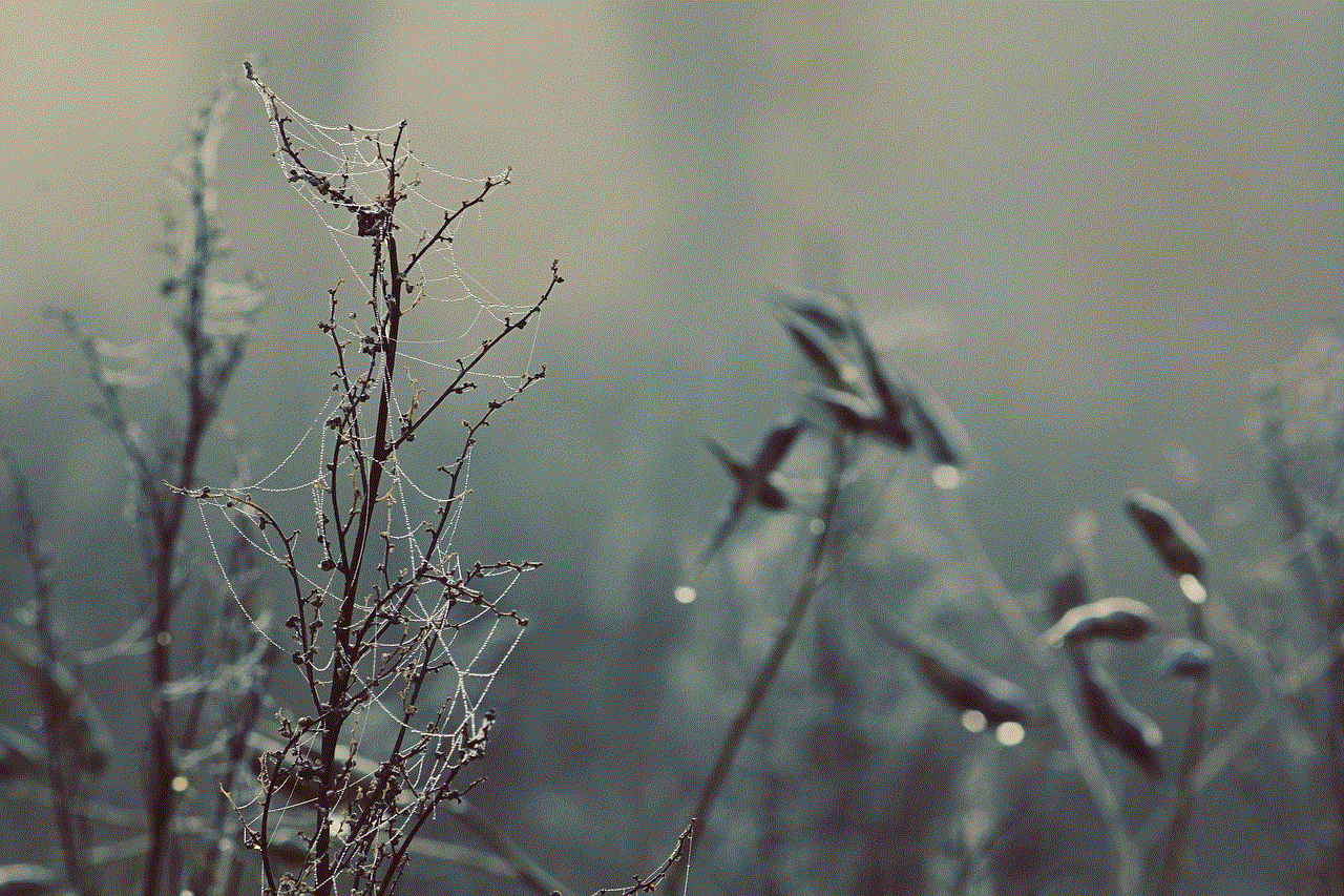 Twigs Branches
