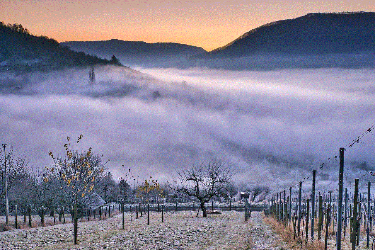 Vineyard Fog