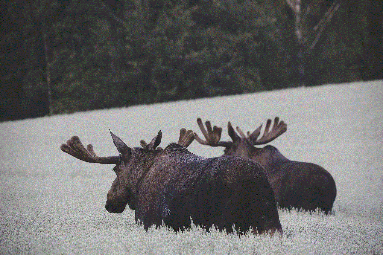 Moose Nature