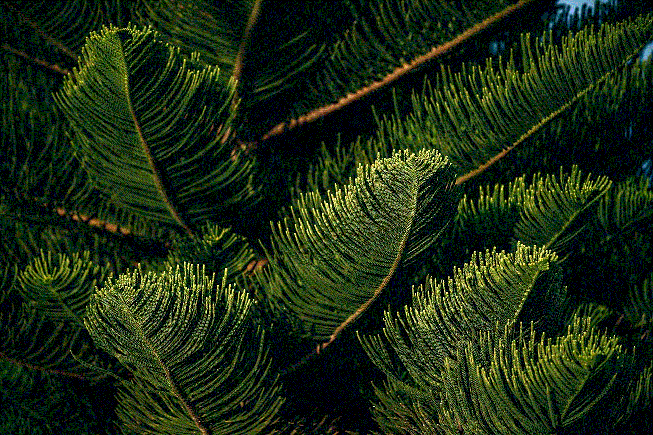 Tree Pine