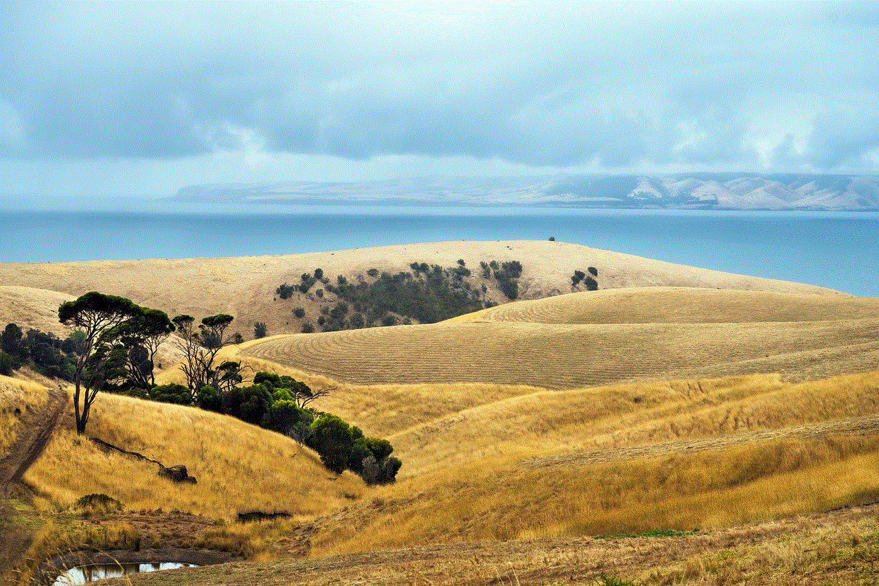 Coast Ocean