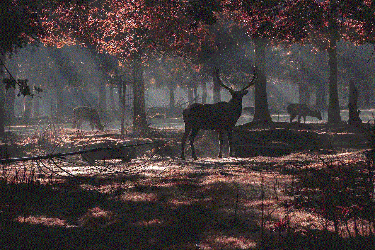 Deer Forest