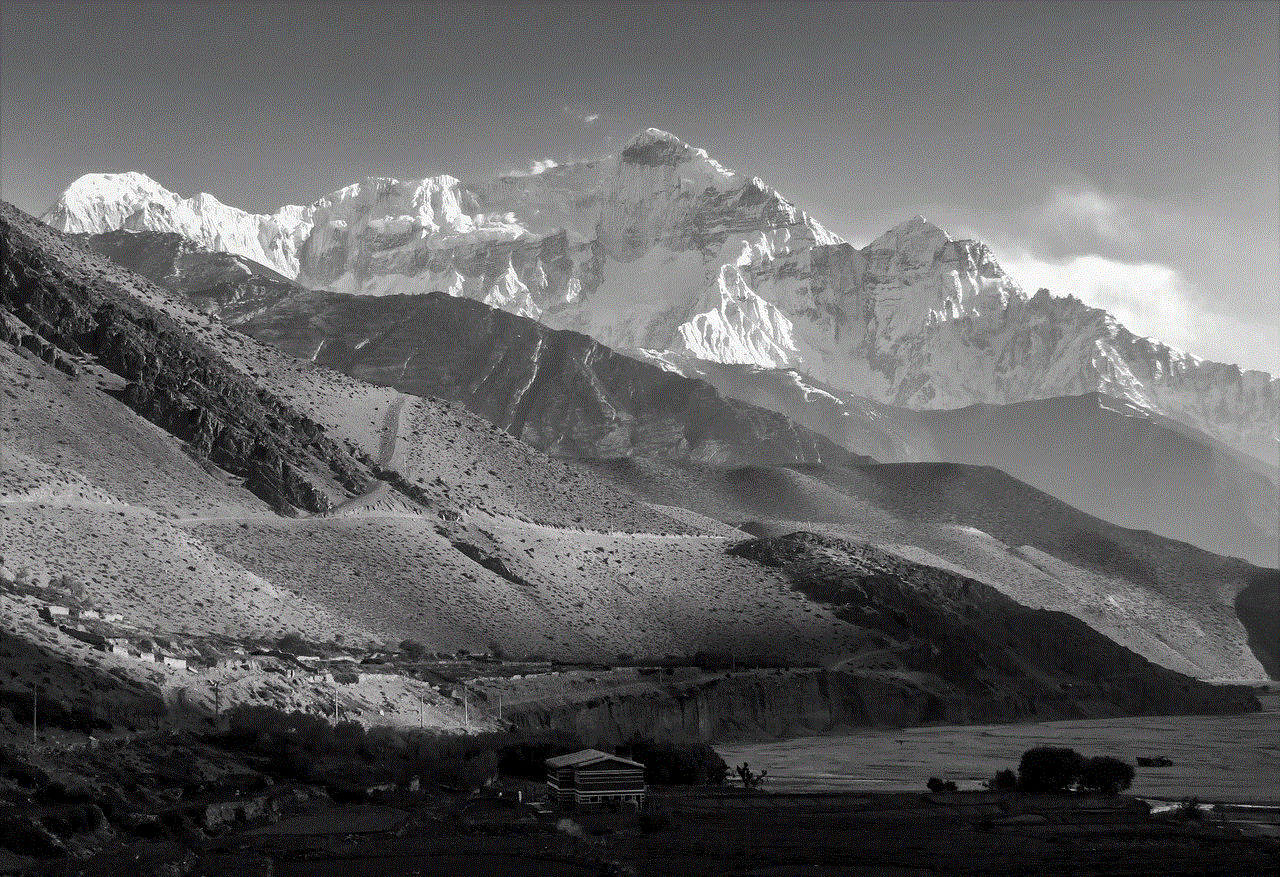 Mountain Himalaya