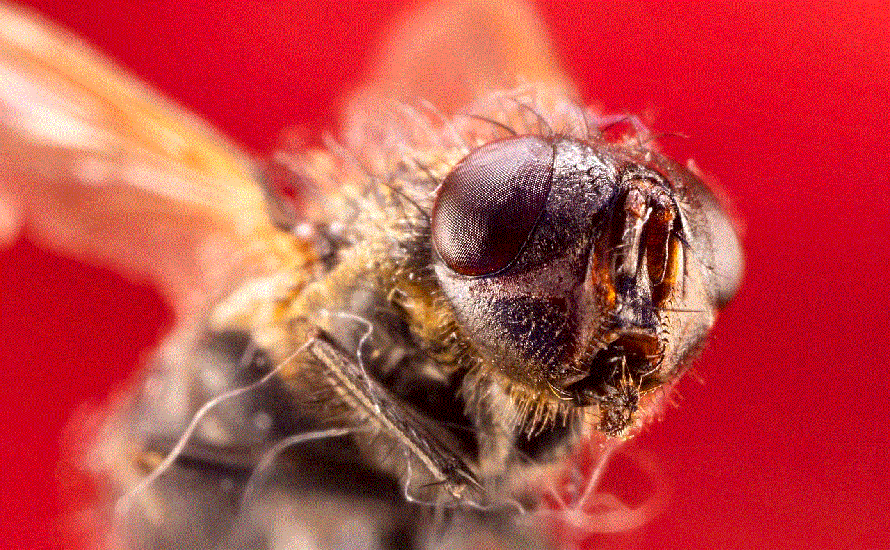 Housefly Fly