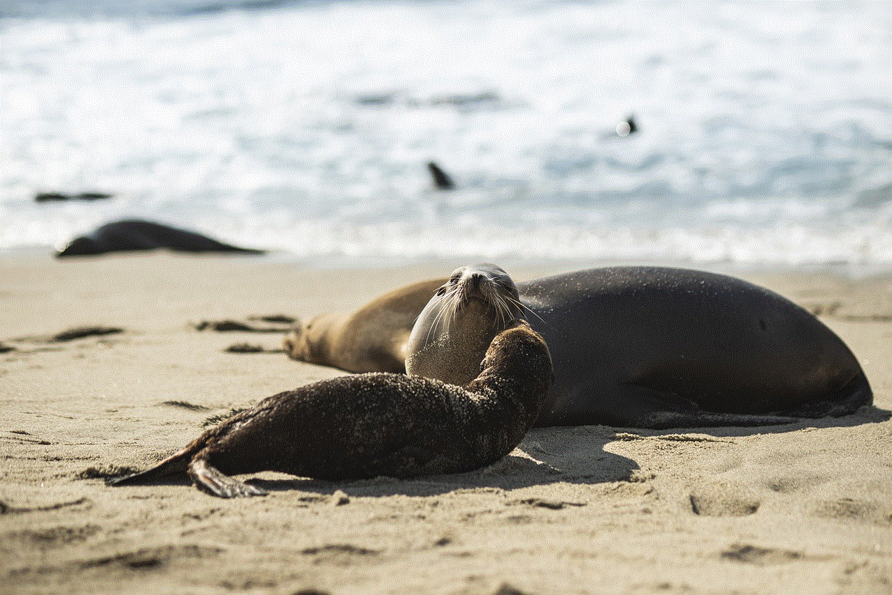 Beach Seal