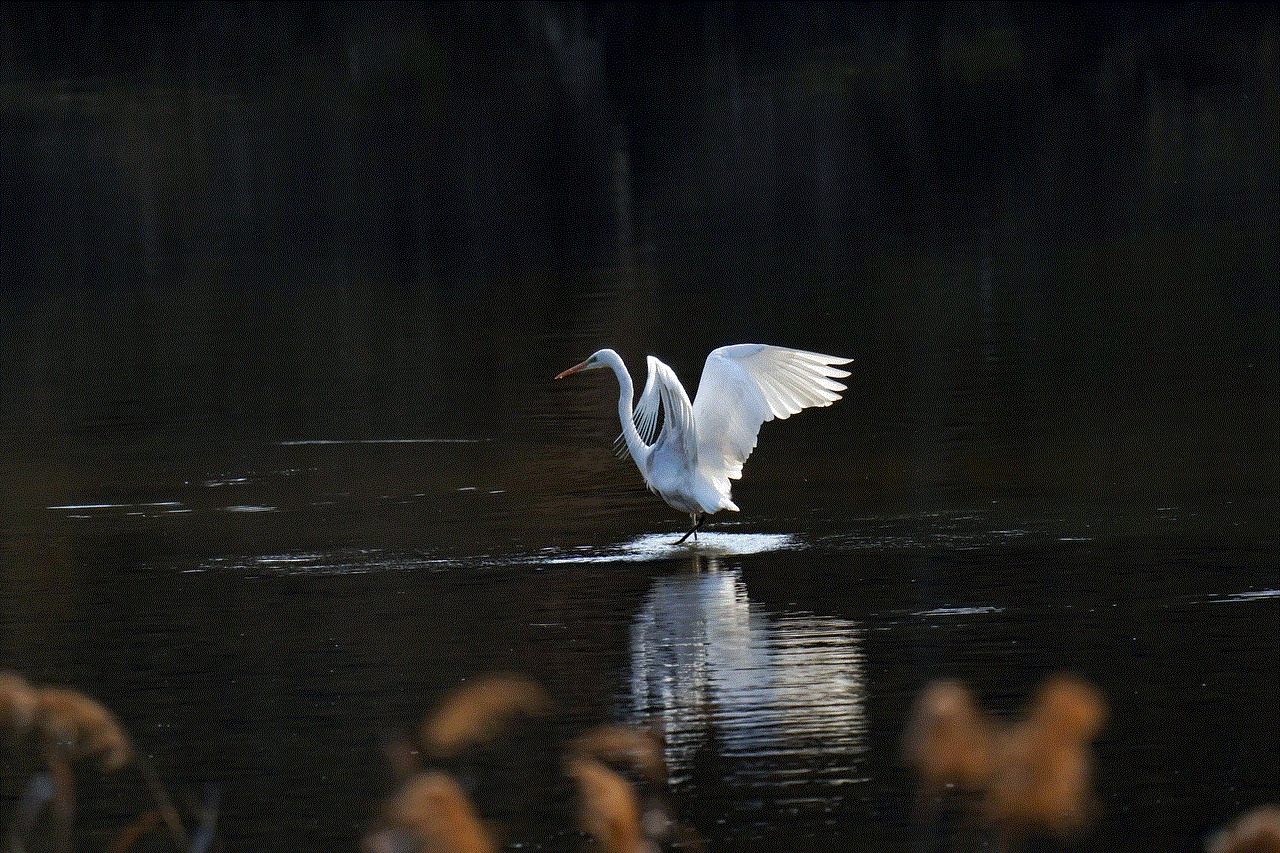 Common Heron New