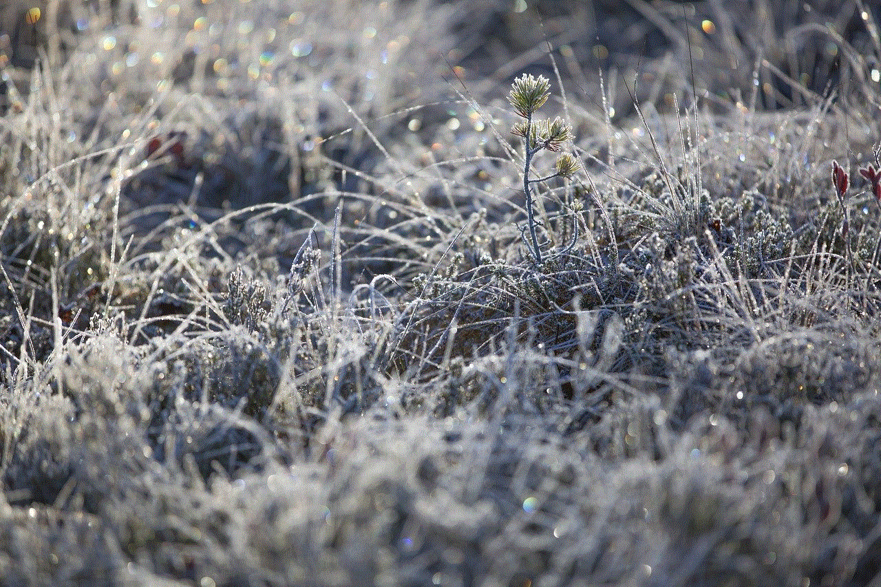 Frost Winter