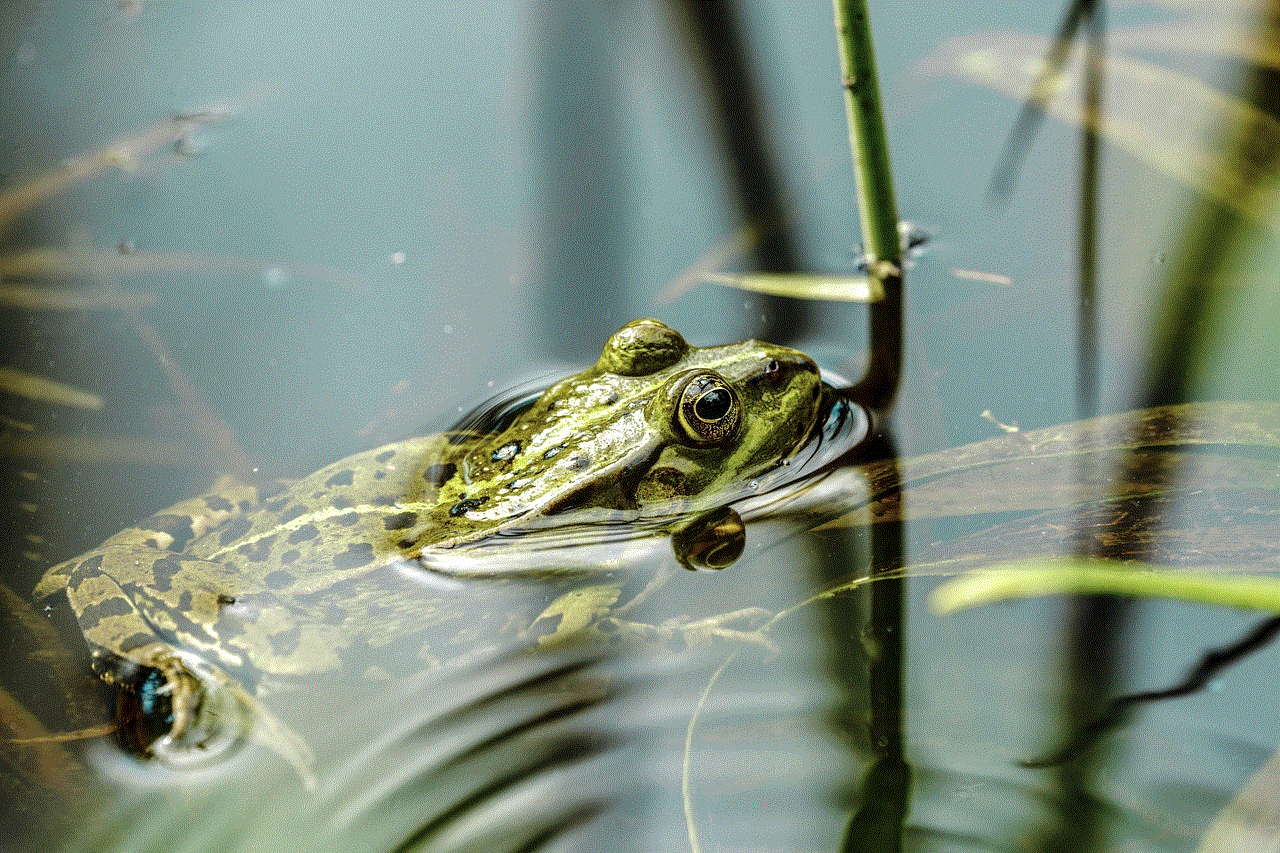 Amphibian Frog