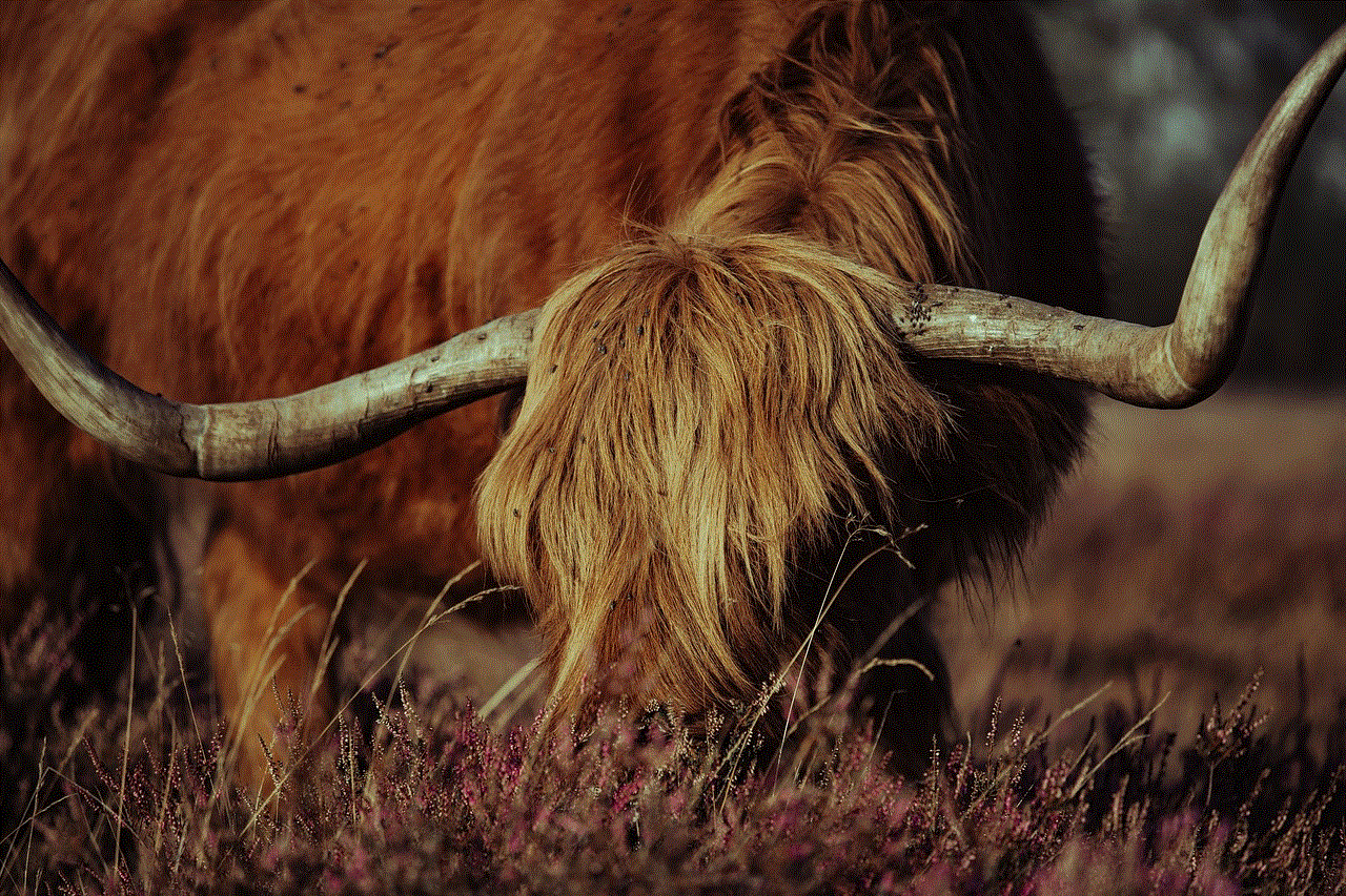 Cow Nature Cow Nature
