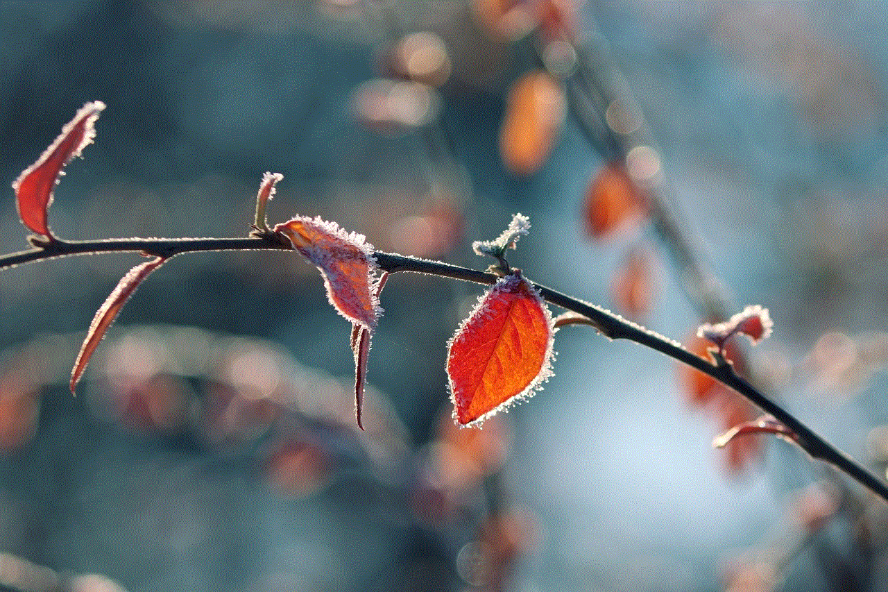 Nature Frost