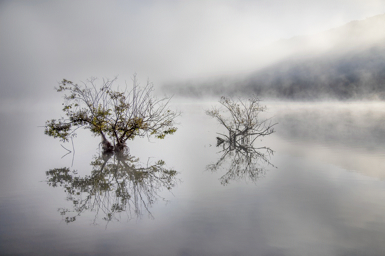 Lake Fog