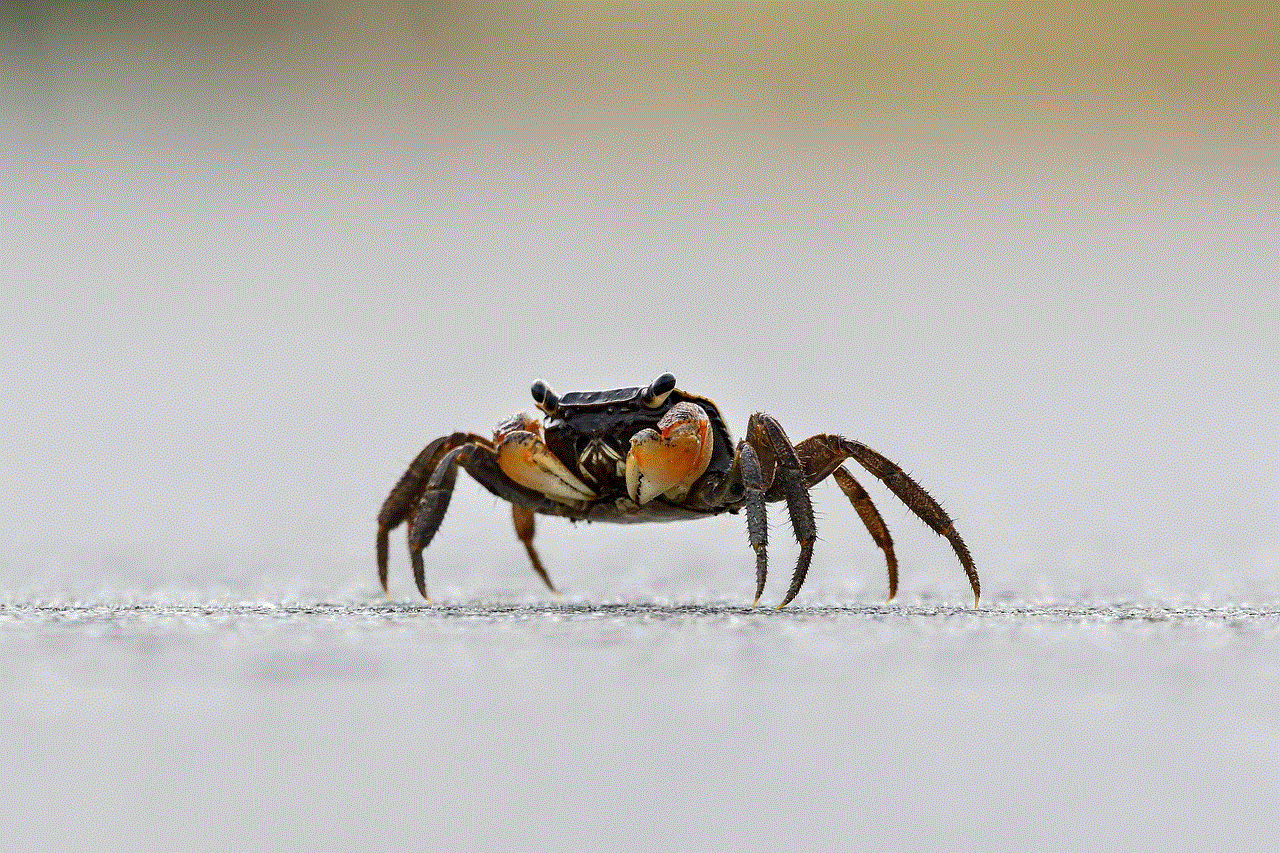 Crab Animal
