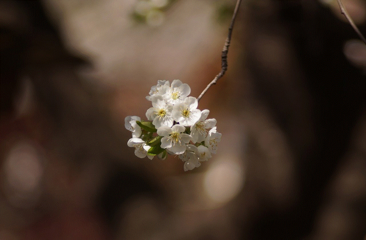 Flower Branch