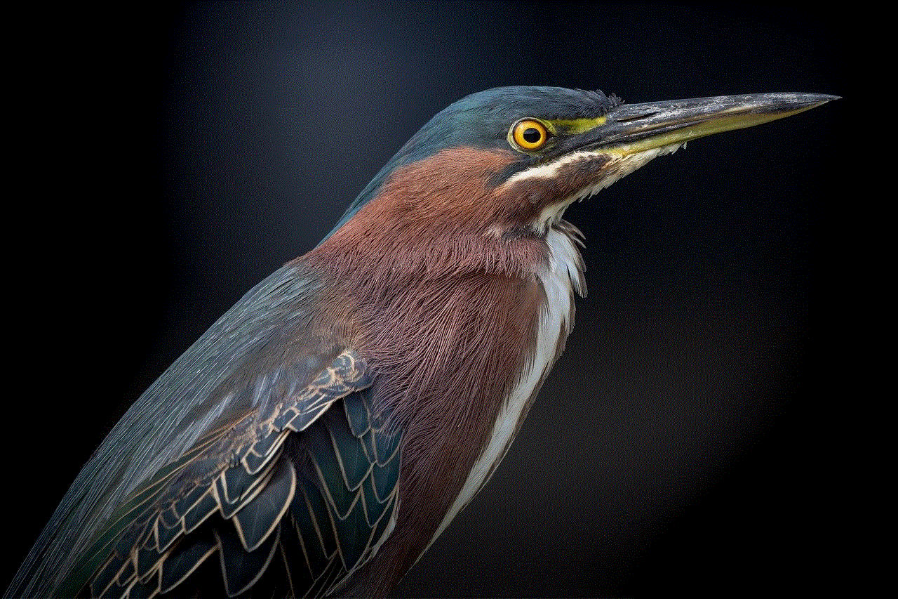 Bird Heron