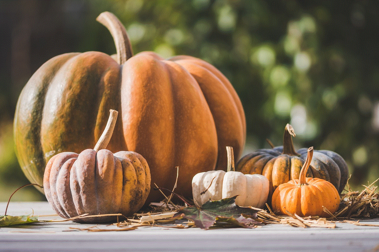 Pumpkins Autumn