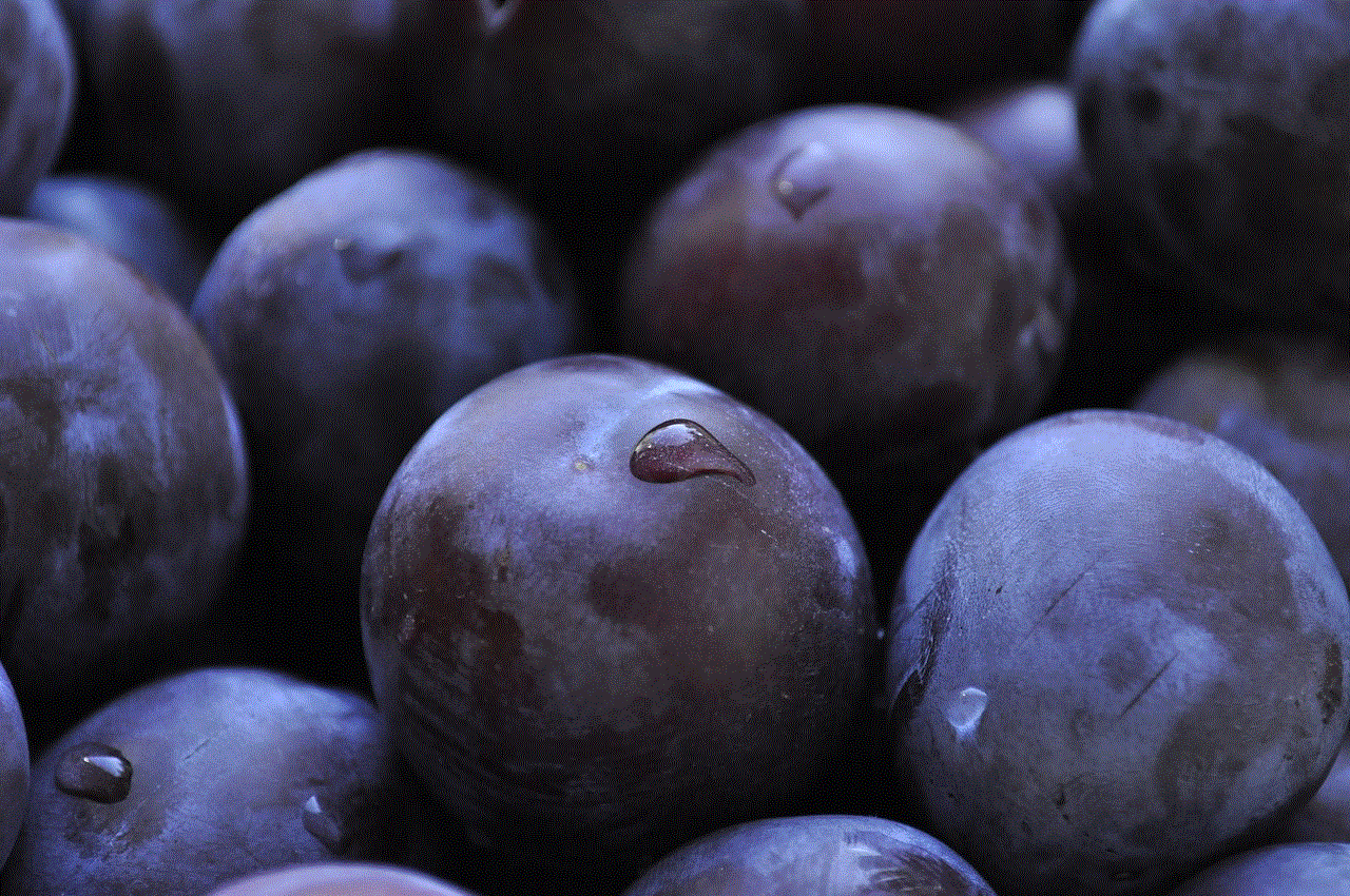 Plums Fruits