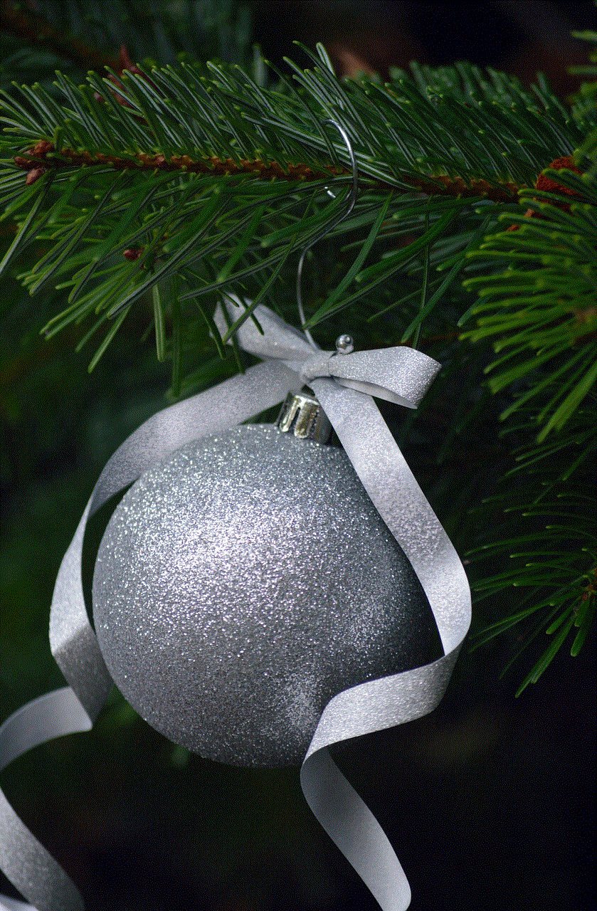 Fir Branch Christmas Decorations