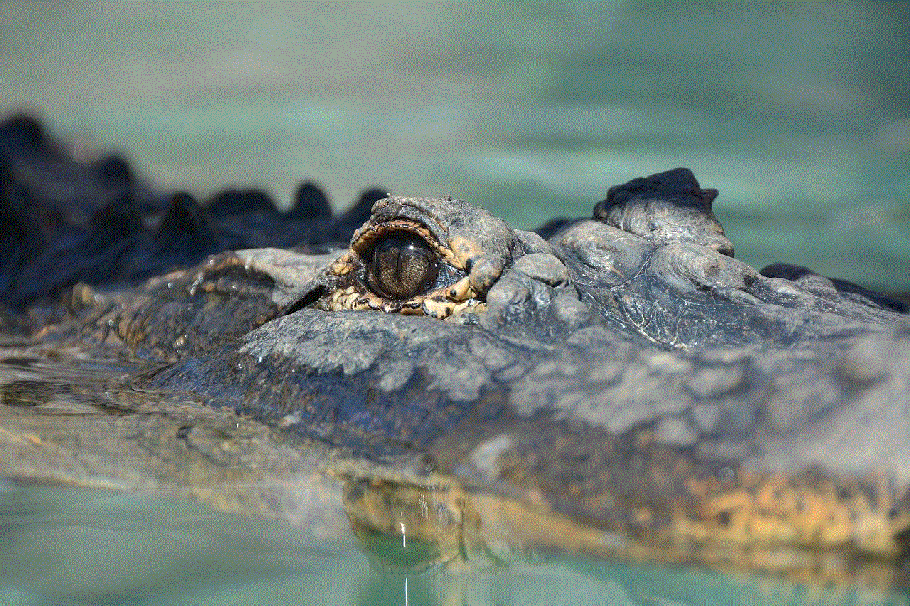 Crocodile Eye