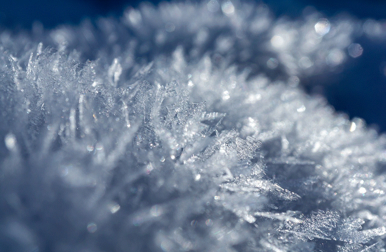 Ice Crystals Frost
