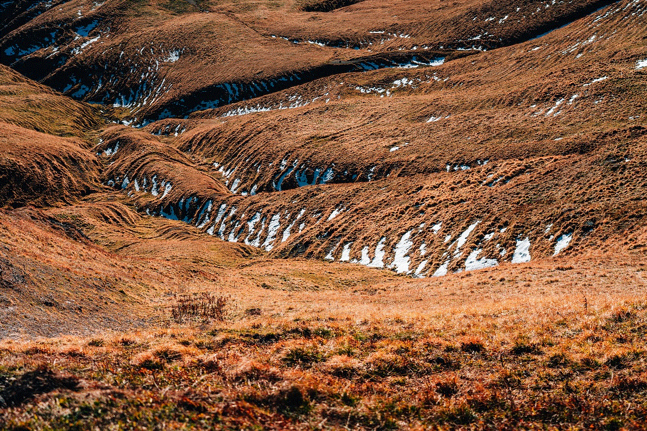 Mountains Meadow