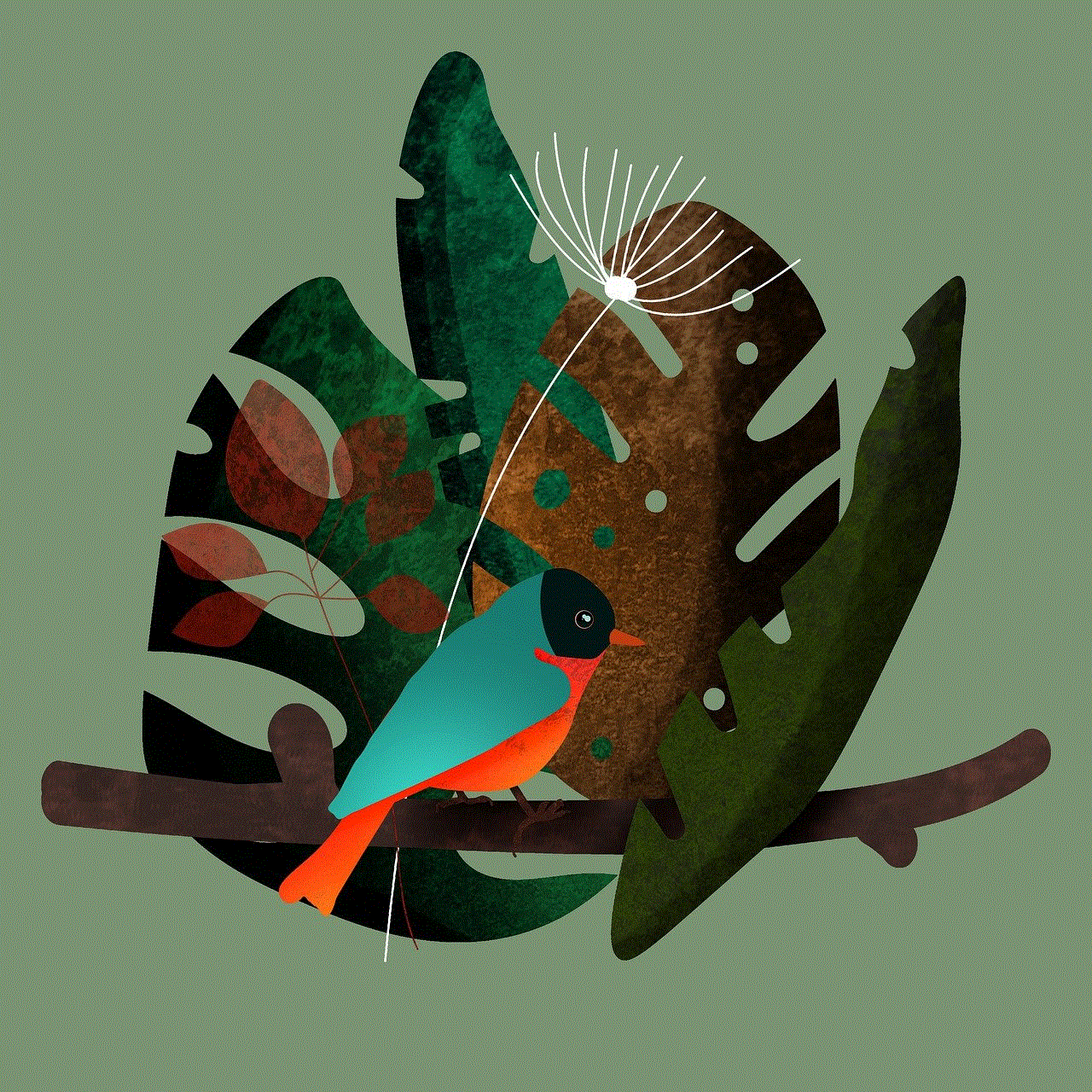 Bird Monstera